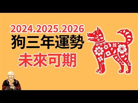 1982年屬狗 運勢|82年狗40岁后十年大运运程 82年属狗人40岁后的运势